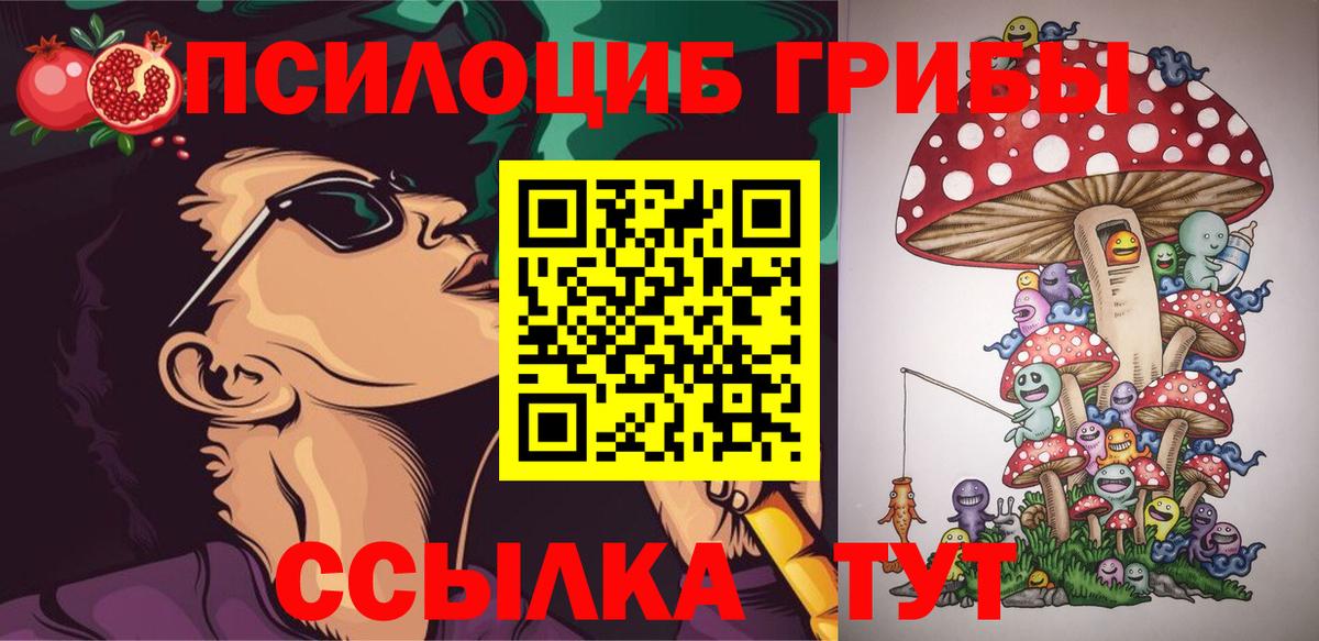 Тында  Галлюциногенные грибы мицелий  Вход с VPN 