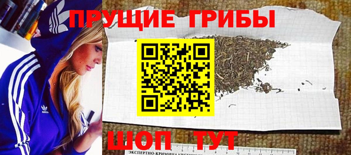 Галлюциногенные грибы мухоморы Тында
